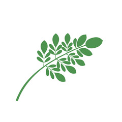 Moringa logo vector template symbol nature
