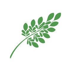 Moringa logo vector template symbol nature
