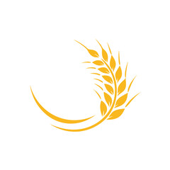 Agriculture wheat vector icon design
