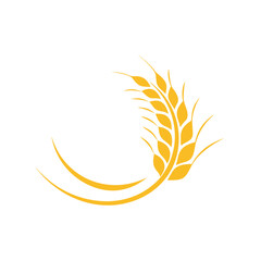 Agriculture wheat vector icon design
