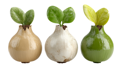 Isolated Cute Decorative Bulbs with Sprouting Leaves on Transparent Background