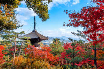 Scenic view of Jojakkoji Temple with beautiful foliage in autumn in Kyoto, Japan