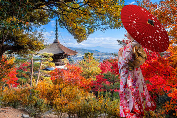 Japanese Woman in Traditional Kimono Dress at Jojakkoji Temple with beautiful foliage in autumn in...