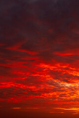 Vertical Horizon Golden sky sunrise dramatic beautiful landscape view. Dawn sky gold dusk time cloudscape with sunlight. Vertical Dramatic sunset golden red sky scenic landscape sunrise dawn heaven