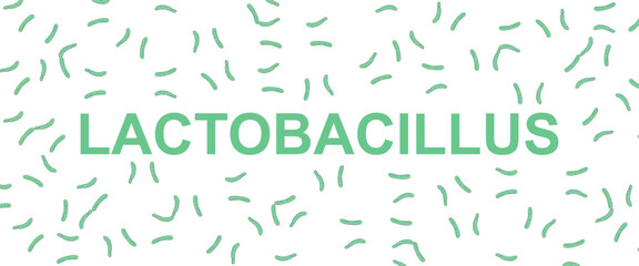 Illustration of lactobacillus vector, good bacteria and beneficial microorganisms. Lactobacillus background. Infographic for poster background, medical, educational and scientific purposes.