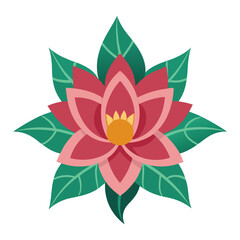  zenobia flower-on-white