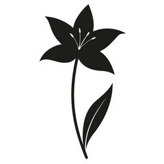 zephyranthes candida rain lily vector silhouette-on-white