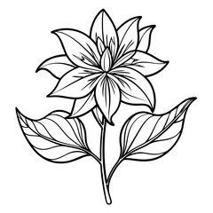 line art zigadenus venenosus vector 