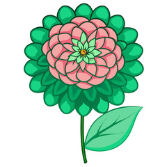 zinnia green flower-on-white