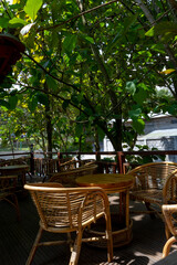 A cozy outdoor cafe terrace with multiple rattan tables and chairs, shaded by lush green trees on a sunny day.
