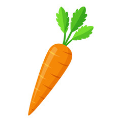 carrot vector illustration