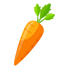 carrot vector illustration