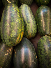 yellow watermelon in the market