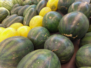 various watermelons on the market