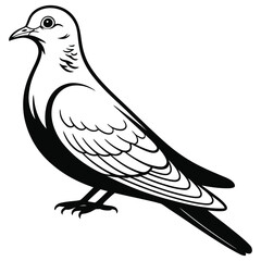 dove of peace