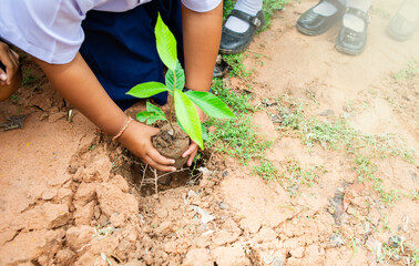 Students are planting trees together.