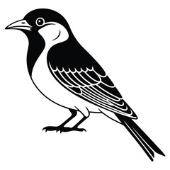 bird on a branch