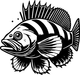 Illustration of a striped fish with prominent fins and detailed scales in black and white style drawing