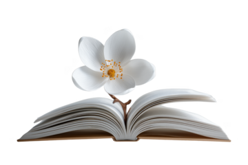 Elegant white flower blooms from open book symbolizing knowledge growth and natural wisdom transparent background