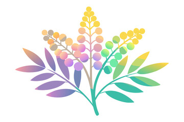 Yellow Mimosa Flower Branch Isolated on White Background – Acacia Dealbata Blossom Illustration