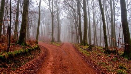 Obraz premium Misty forest path splitting into two under leafless trees, carpeted with fallen leaves—symbolizing solitude, transition, and the quiet tension of choice in a late autumn woodland.