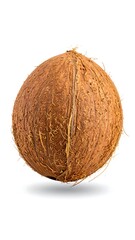 Single Coconut, Isolated, White Background (1)
