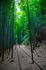 旧国鉄倉吉線廃線跡