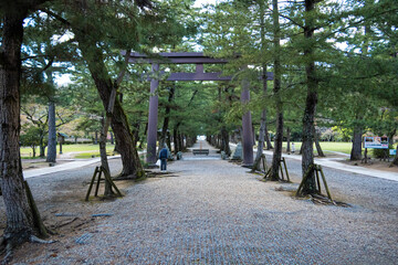 日本の島根の出雲の出雲大社の朝の参道と鳥居
