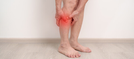 Elderly woman having Calf pain for concepts of Calf Muscle Strain, muscle pull, Leg Cramp, Sprain, aches, Varicose Veins, Deep Vein, world Thrombosis day, Senior Health care and medical treatment © Jo Panuwat D