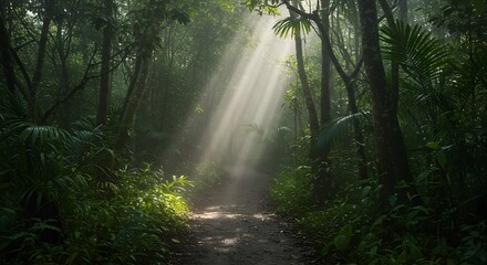 Fototapeta premium Mystical Forest Path: Sunbeams Illuminate Lush Jungle Trail