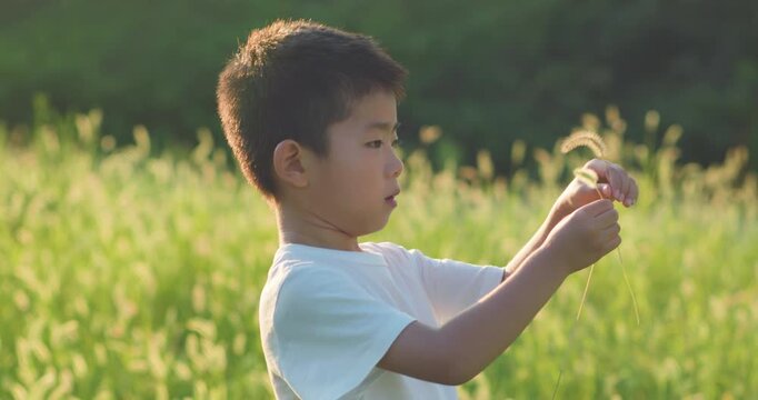 Chinese mother and son playing with foxtail grass outdoors