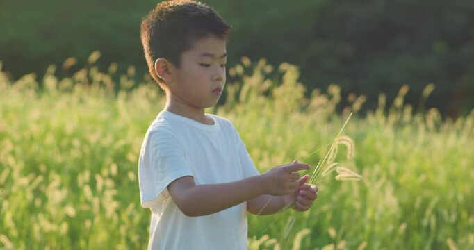 Chinese mother and son playing with foxtail grass outdoors