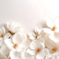 Obraz premium White Magnolia Flowers Flatlay, Soft Background