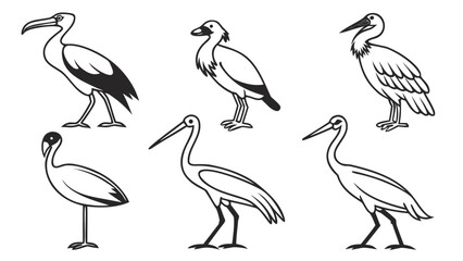 set of vector birds