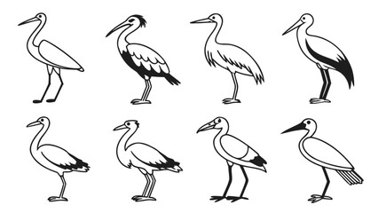 Fototapeta premium vector illustration of a bird