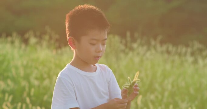 Chinese mother and son playing with foxtail grass outdoors