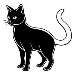 black cat vector illustration