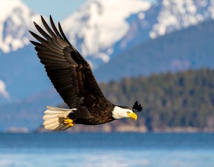 Majestic bald eagle in flight over coastal waters, snow-capped mountains in background