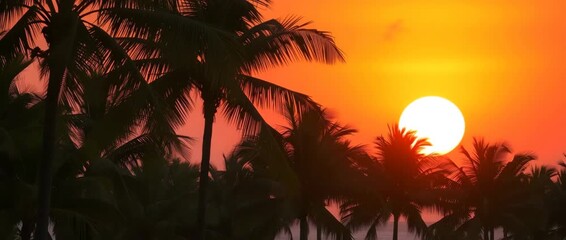 Tranquil scene of palm trees gently swaying against a stunning orange sunset background, evoking a sense of peacefulness and holiday relaxation, 4K Video - Powered by Adobe