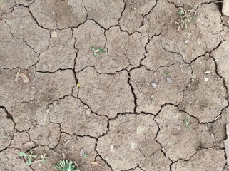 Dry cracked earth soil texture background. Perfect for environment projects, drought concept, 3D modeling, game design, and digital artwork. High-resolution natural ground surface.