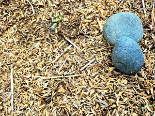 Two Stones on Soil and Rice Husks