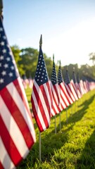 American flags field with sunny day.