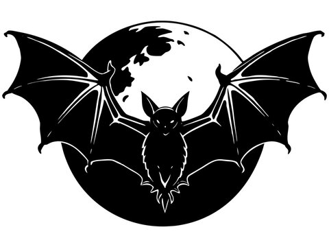 Bat Silhouette Vector Illustration for Halloween or Wildlife