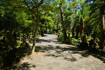 Shaded Garden Path, Hallim Park
