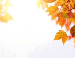 Fototapeta premium Autumn leaves against a bright sky