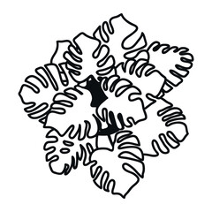 The monstera plant. View from above. A houseplant. For landscape, architectural and interior design. Flat vector illustrations, hand-drawn and isolated on a transparent background