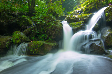 The waterfall during the rainy season and the green forest.