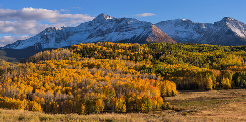 Autumn Sunset at Wilson Peak - A panoramic Autumn sunset view of snow-capped Wilson Peak, surrounded by dense golden aspen forest. Telluride, Colorado, USA.