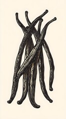 Hand-Drawn Illustration of Vanilla Beans
