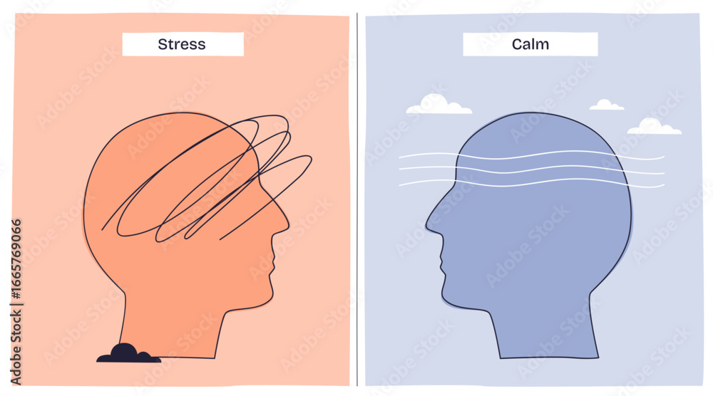 Poster stress vs calm nervous system shows a chaotic head with scribbles for stress and smooth lines for ca